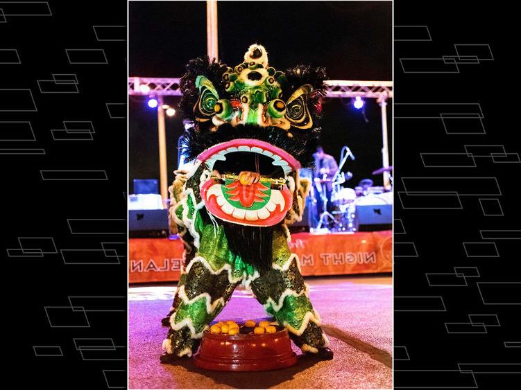 Gong Lung (Steel Dragon) Kung Fu and Lion and Dragon Dance players in costume